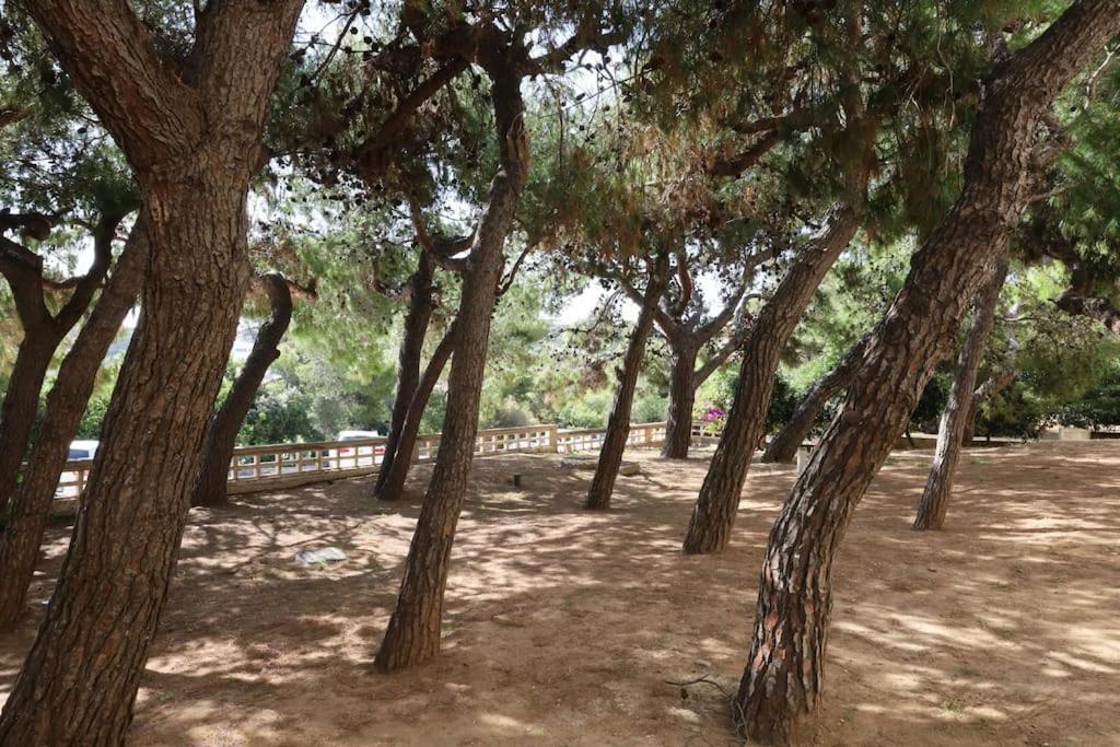 شقة Το Σπίτι Δίπλα Στη Θάλασσα / The House By The Sea Rafína المظهر الخارجي الصورة